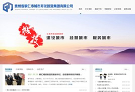 织金城市开发投资集团有限公司